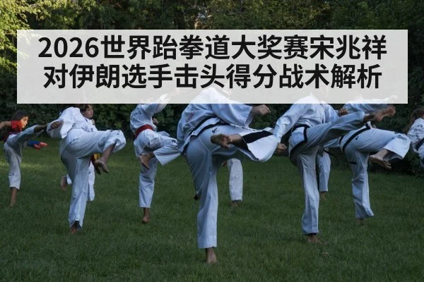 taekwondo high kick competition